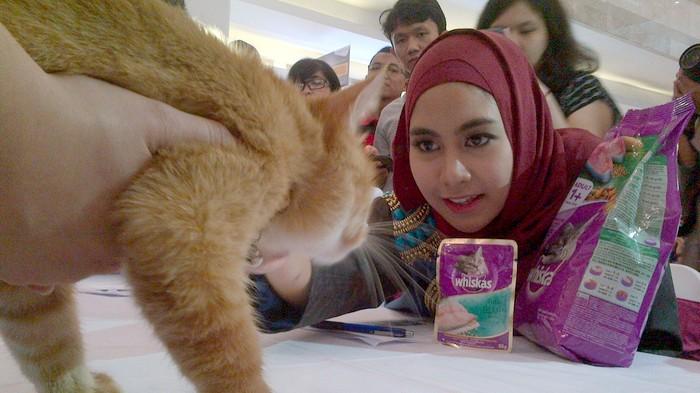 anisa-rahma-dan-kucing_20160916_214123.jpg