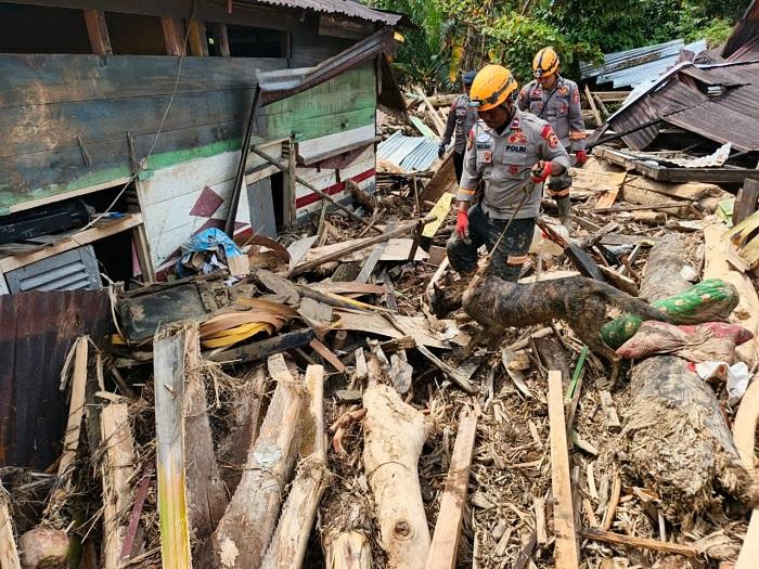 Kemampuan Super Dasa, Anjing K-9 Korsabhara Polri  yang Menemukan Korban Tertimbun Material Bencana