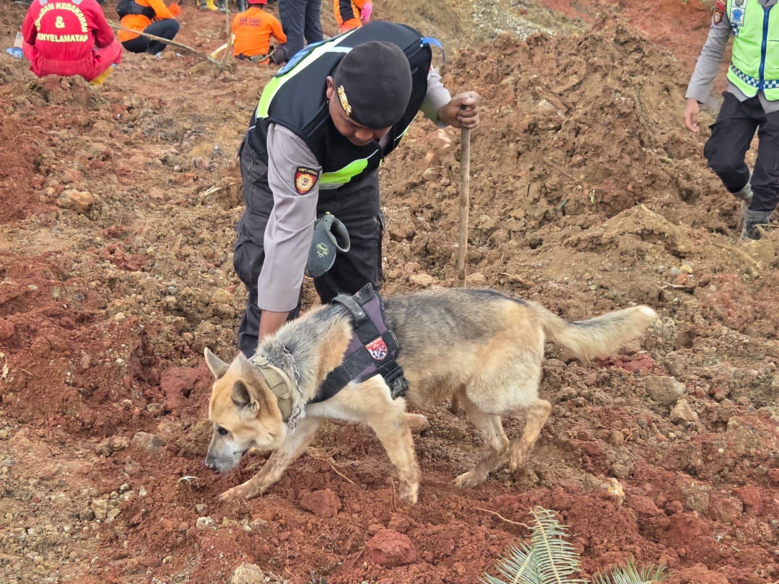 Anjing Pelacak K9 Polri Diterjunkan Cari Korban Longsor Cilacap
