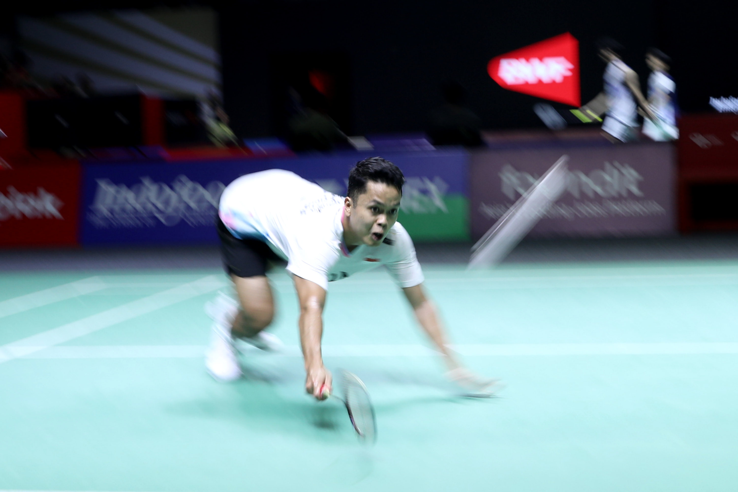 Tukli mushuklar bilan yalangoch qizlar