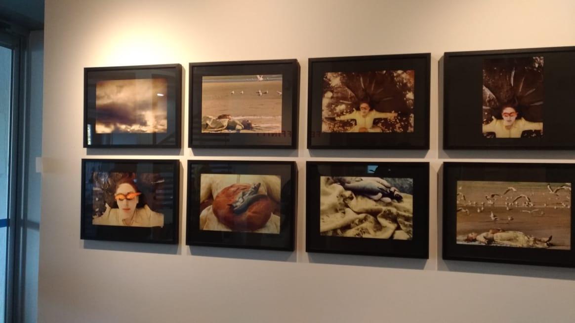 Melihat Indahnya Karya Seniman Disabilitas di Arts Project Australia