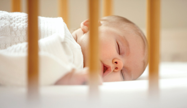 baby-bobo_20160115_075856.jpg