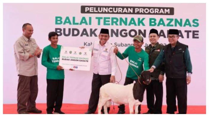 balai-ternak-kelompok-budak-angon-sahate-subang.jpg