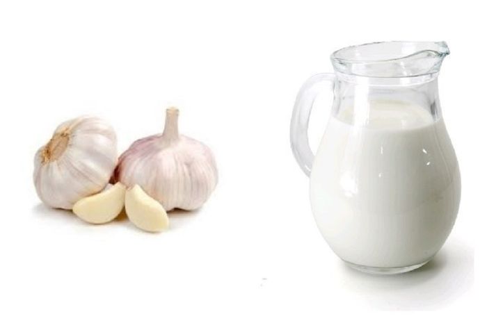 bawang-putih-dan-susu_20181021_162834.jpg