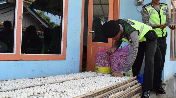 bawang-putih-lanang-oplosan-zat-kimi_20170618_130445.jpg
