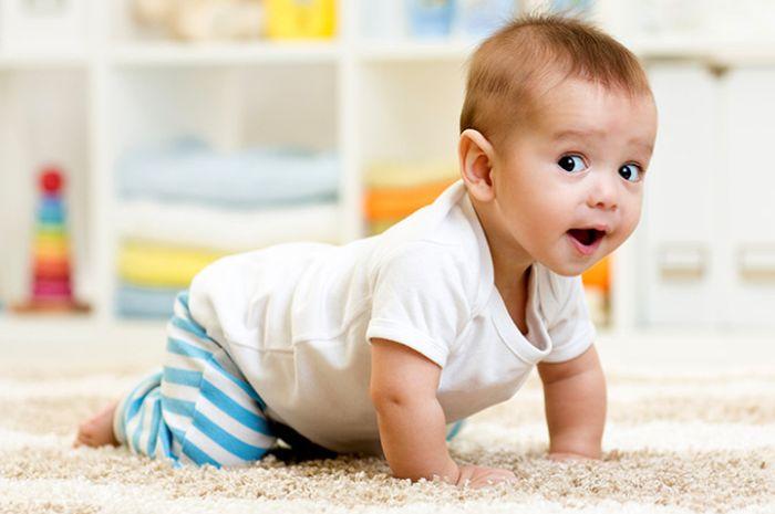 bayi-merangkak.jpg