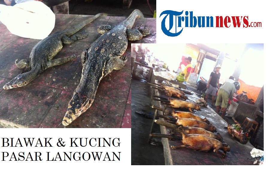 biawak-dan-kucing-di-pasar-langowan-minahasa_20150926_134719.jpg