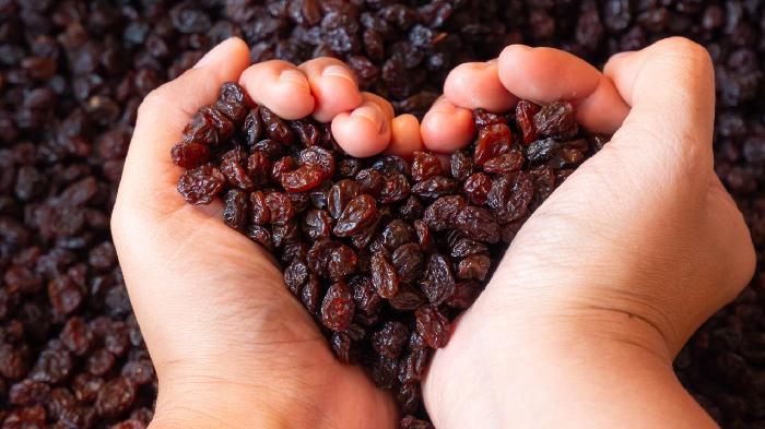 Yuk Kenalan Dengan California Raisin: Kecil Bentuknya, Besar Manfaatnya