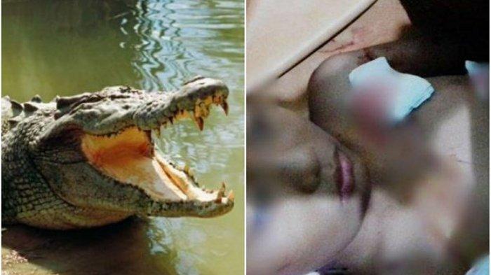bocah-9-tahun-diterkam-buaya-saat-berenang-jelang-maghrib-kakak-korban-lakukan-aksi-mendebarkan.jpg