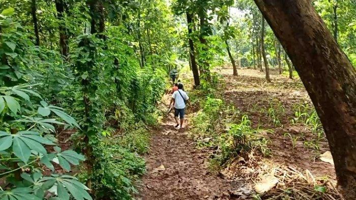 bocah-hilang-di-hujan-jati.jpg