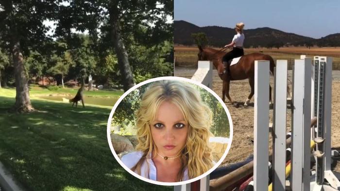 britney-spears-mengunggah-video-selebrasi.jpg