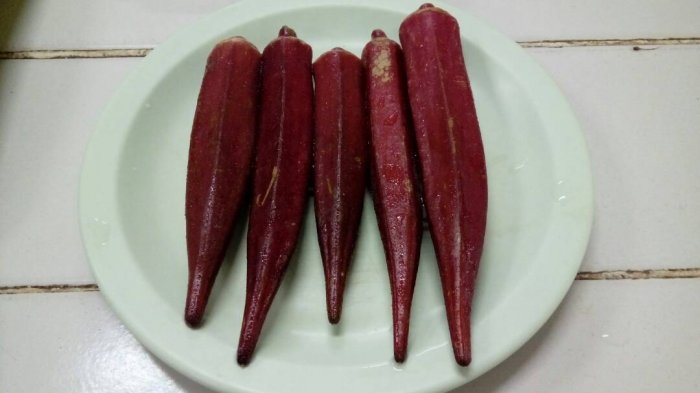 buah-okra_20170704_124401.jpg