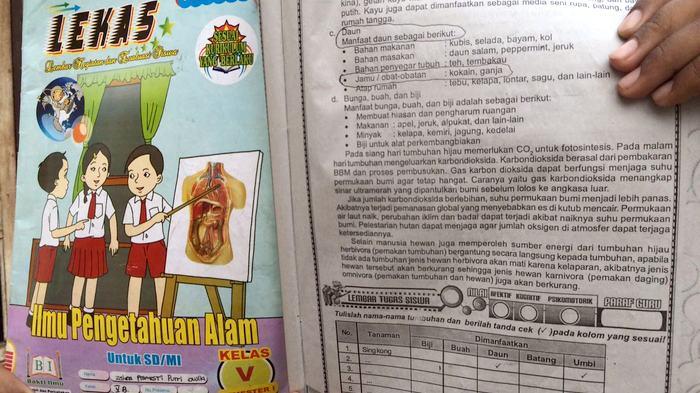 buku-anak-sd-di-tangsel-yang-terdapat-konten-narkoba_20161026_134901.jpg