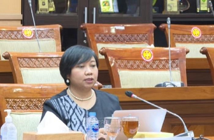 calon-komisioner-komnas-ham-anis-hidayah-di-ruang-komisi-iii-dpr.jpg