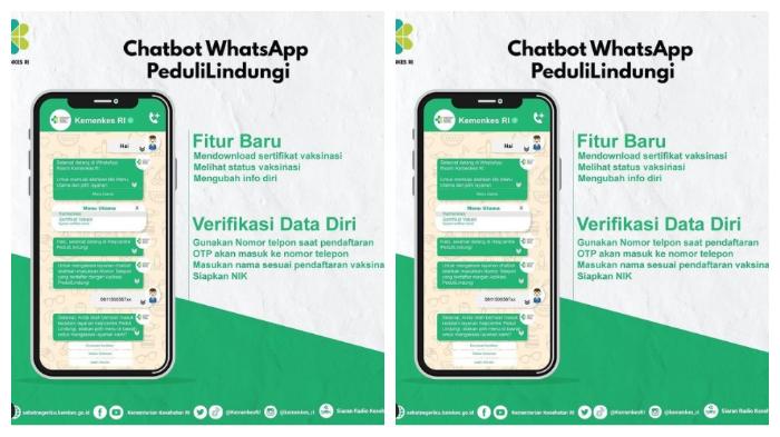 chatbot-whatsapp-pedulilindungi.jpg