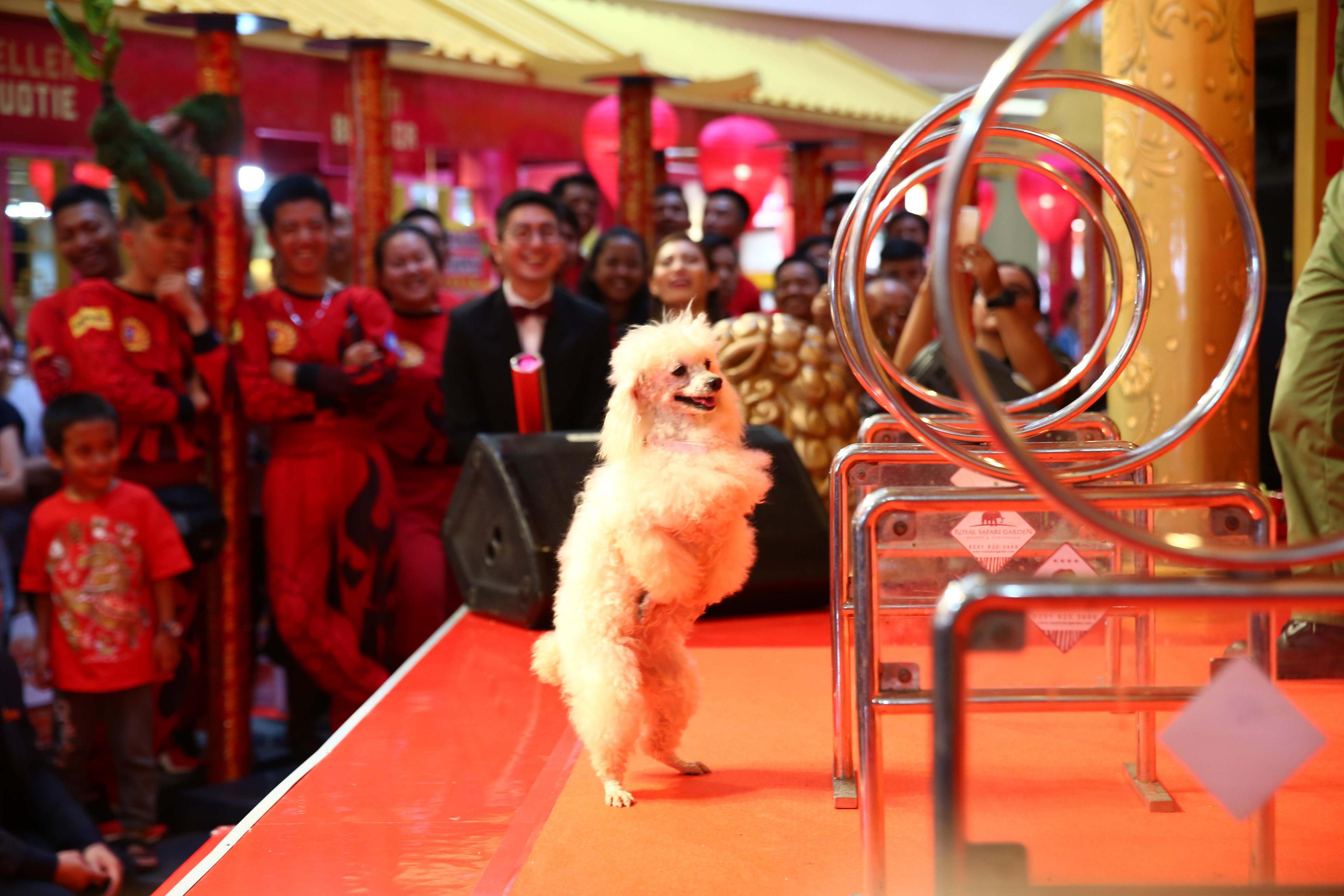 ciputra_20180205_100610.jpg