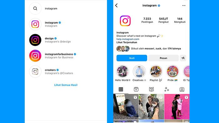 contoh-akun-instagram-centang-biru-atau-verified.jpg