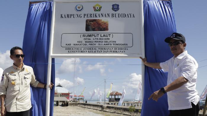 cover-kkp-budi-daya-rumput-laut-wakatobi.jpg
