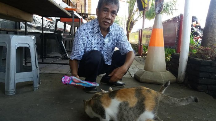 daeng-siraja-mantan-dosen-unhas-memberi-makan-kucing_20180410_113611.jpg