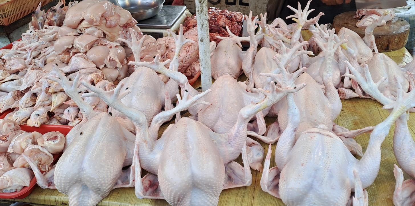 daging-ayam-di-pasar-56.jpg