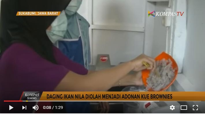 daging-ikan-nila-diolah-jadi-brownies_20160822_165134.jpg