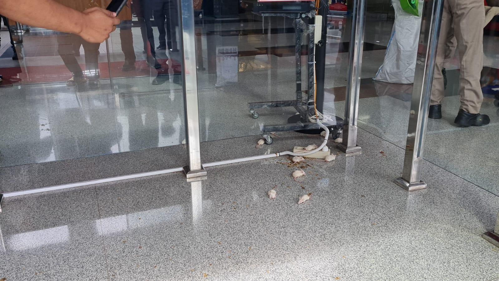 demo-lempar-tikus-ke-kpk.jpg<pf>demo-lempar-telur-ke-kpk.jpg