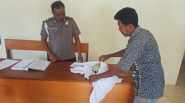 ditemukan-tengkorak-di-manado.jpg