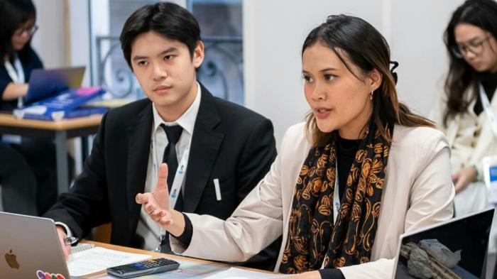 Uy qurilishi Teddy Bear qin