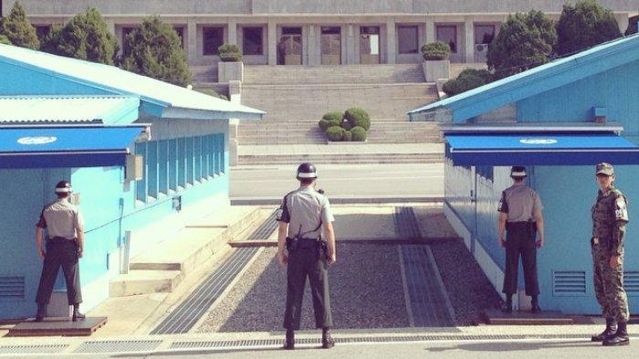 dmz-korea-selatan12.jpg
