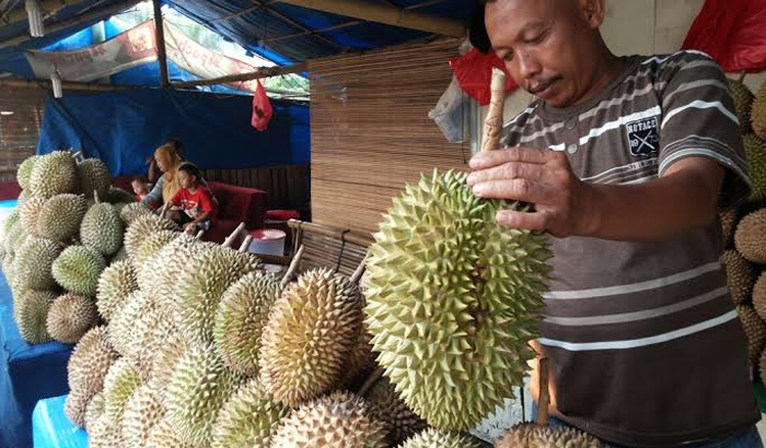 durian-lampung-kuliner_20150819_191955.jpg