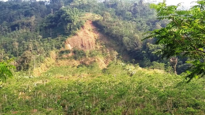 dusun-jemblung-desa-sampang-kecamatan-karangkobar-banjarnegara_20180703_083018.jpg