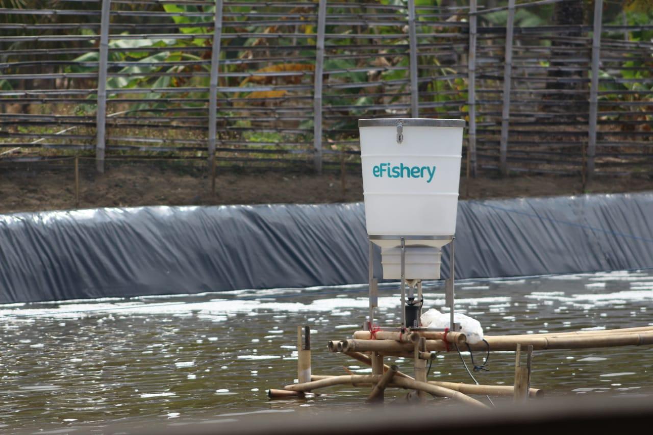 efishery-pendanaan-seri-b.jpg