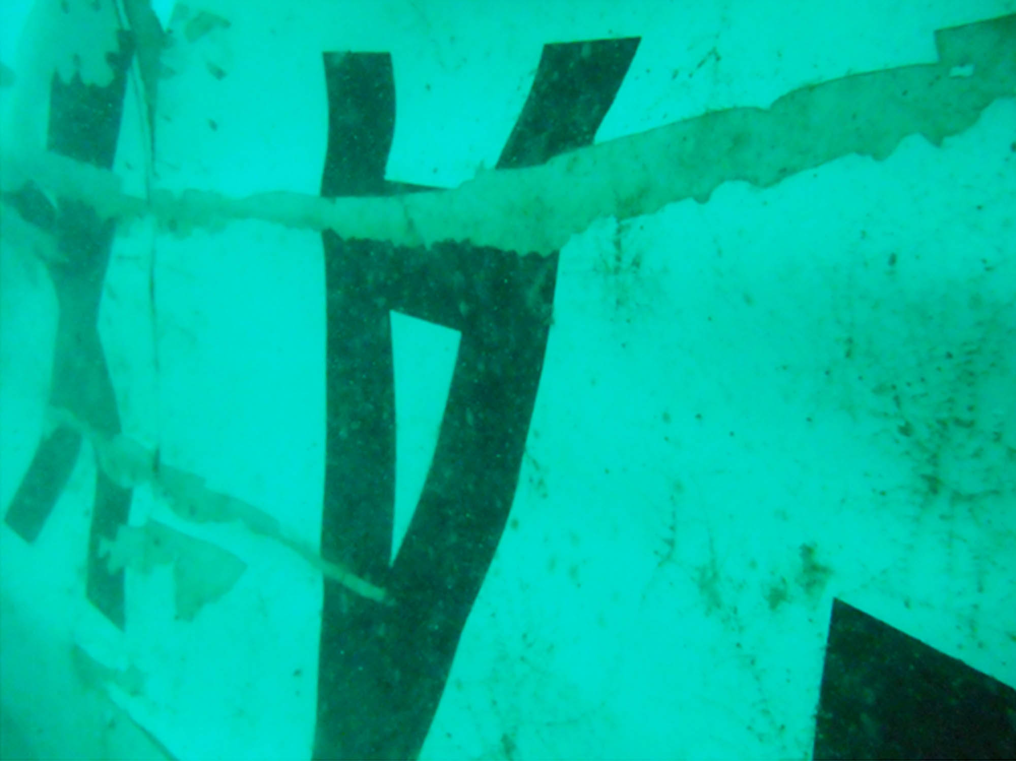 ekor-pesawat-airasia-qz8501-ditemukan_20150107_151807.jpg