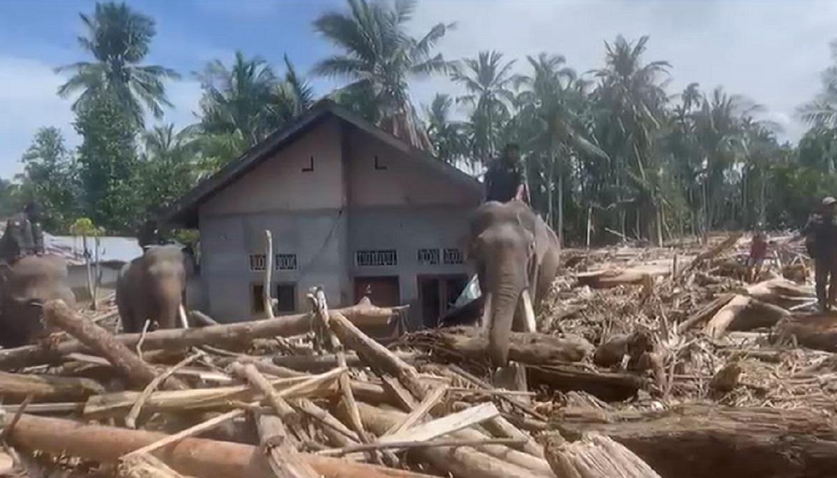 BNPB Imbau Warga Waspadai Risiko Listrik di Tengah Pemulihan Pascabencana di Sumatra