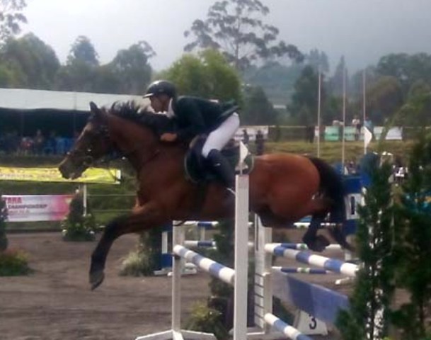 equestrian-ilustrasi_20150320_092053.jpg