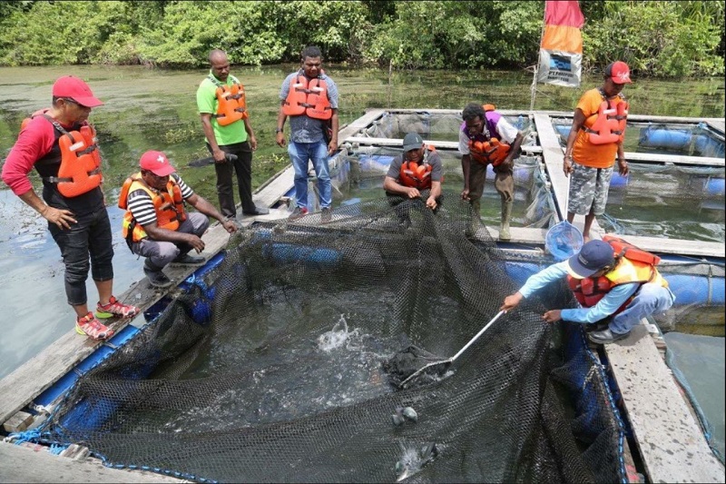eterangan-foto-kelompok-pembudidaya-ikan-nila-binaan-sld-ptfi_20171110_075658.jpg