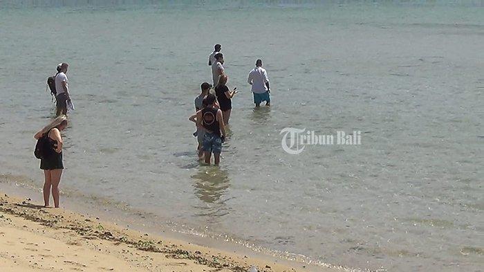 fenomena-puluhan-hiu-di-pantai-peninsula-nusa-dua-jadi-tontonan-wisatawan.jpg