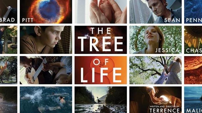 film-the-tree-of-life.jpg