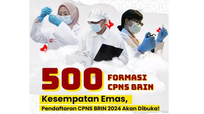 formasi-cpns-brin-2024.jpg