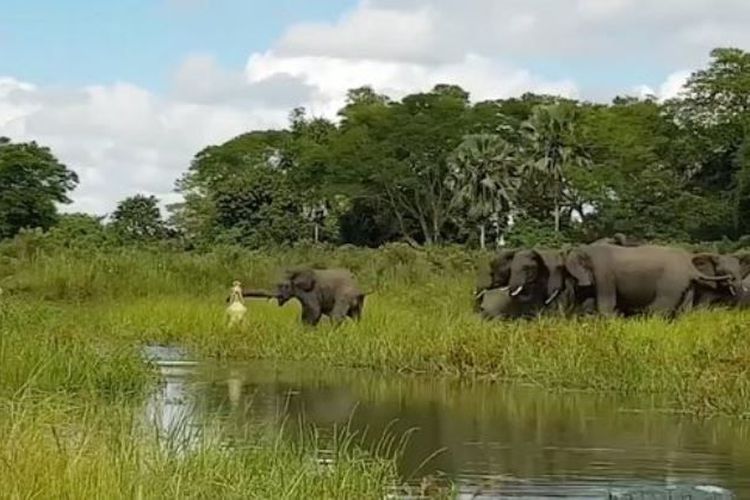 foto-ini-diambil-dari-video_20170417_213415.jpg