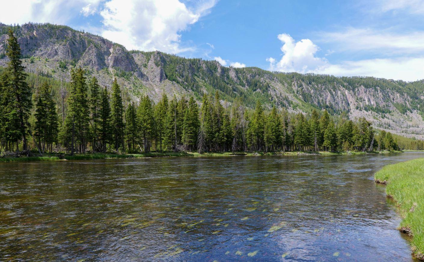 g-rimbun-di-Taman-Nasional-Yellowstone-AS.jpg
