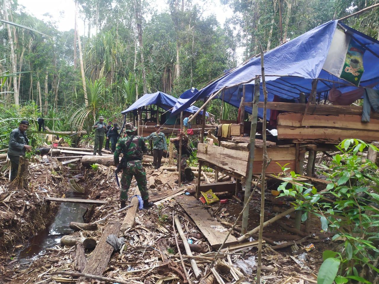 gakkum-klhk-melakukan-operasi-penindakan-pembalakan-kayu-ilegal.jpg