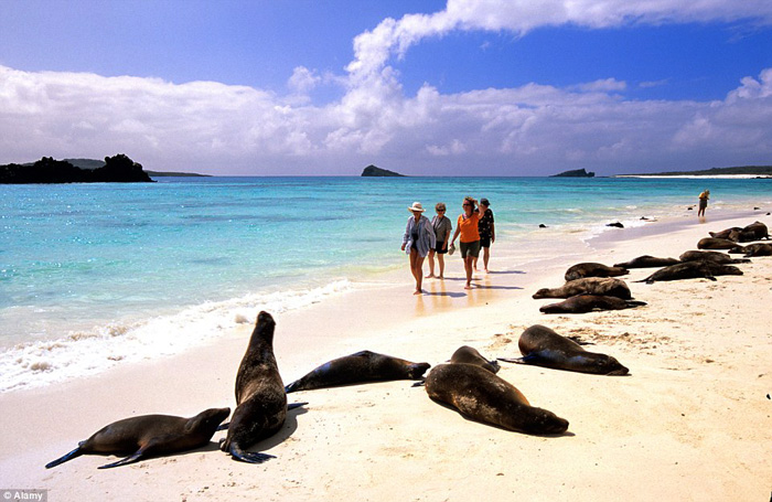 galapagos_20150713_131450.jpg
