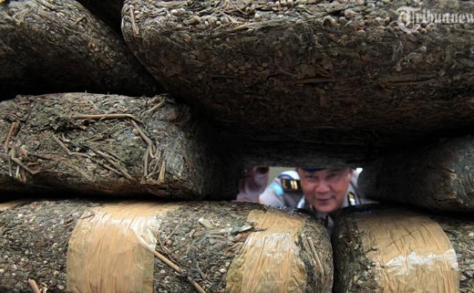 ganja-ilustrasi_20150416_150829.jpg