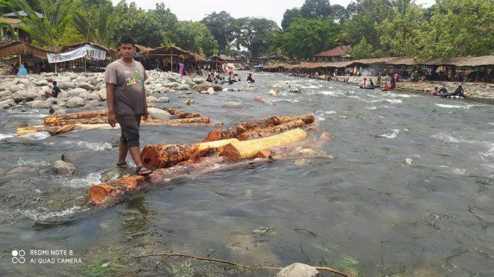 gelondongan-kayu-diduga-hasil-penebangan-hutan-hanyut-di-sungai-bukit.jpg