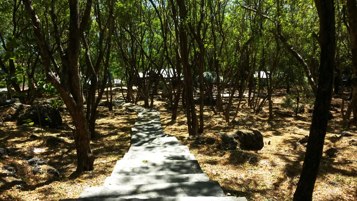 gua-monyet_20150608_142512.jpg