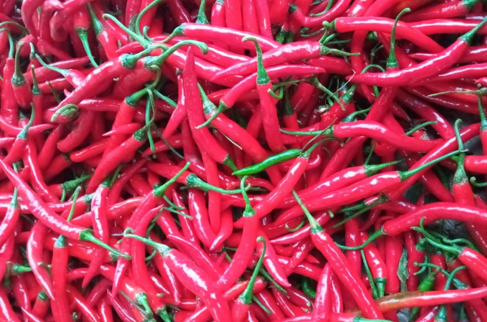 harga-cabai-merah-harga-komoditas-pangan.jpg