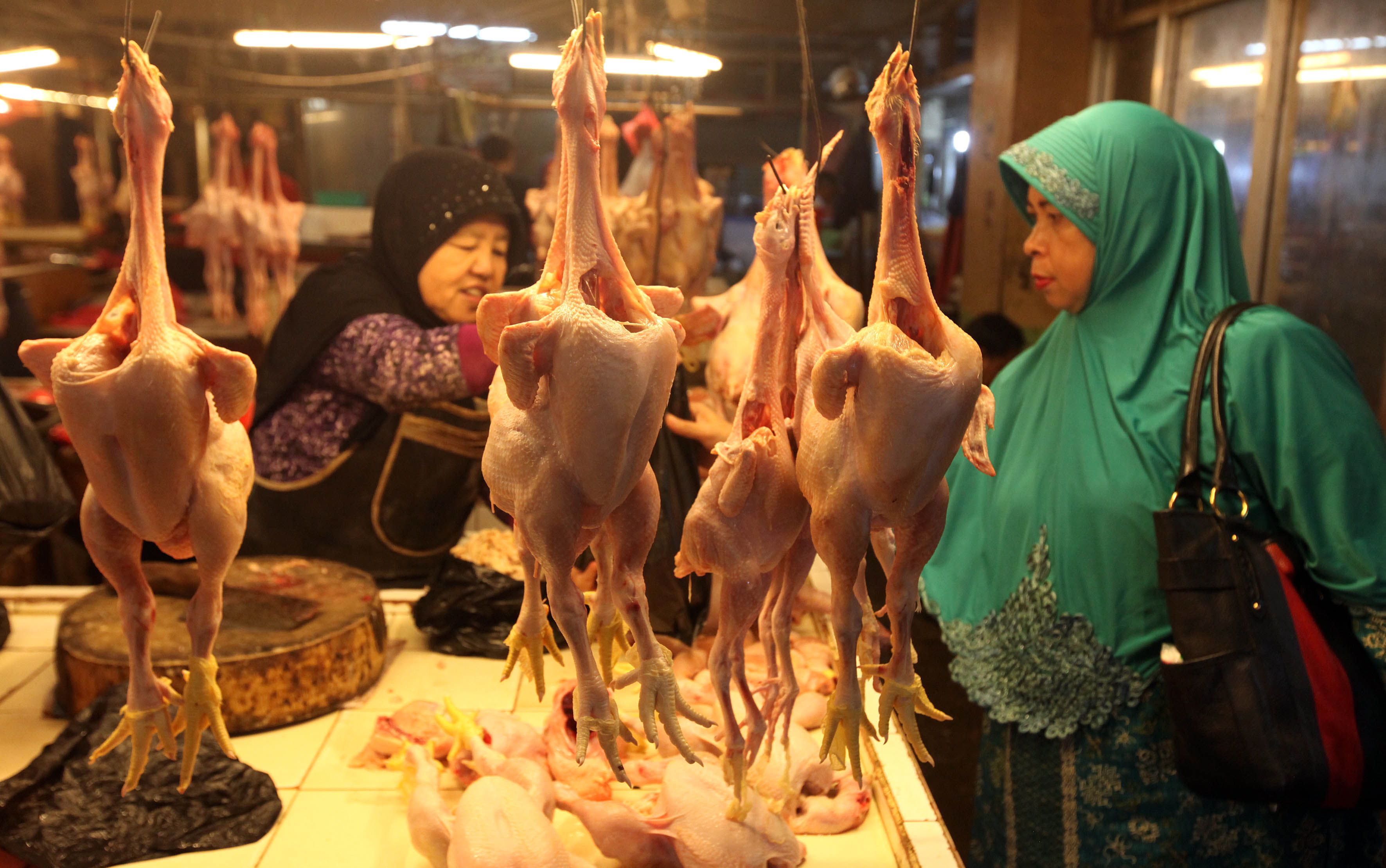 harga-daging-ayam-berangsur-turun_20170706_112216.jpg