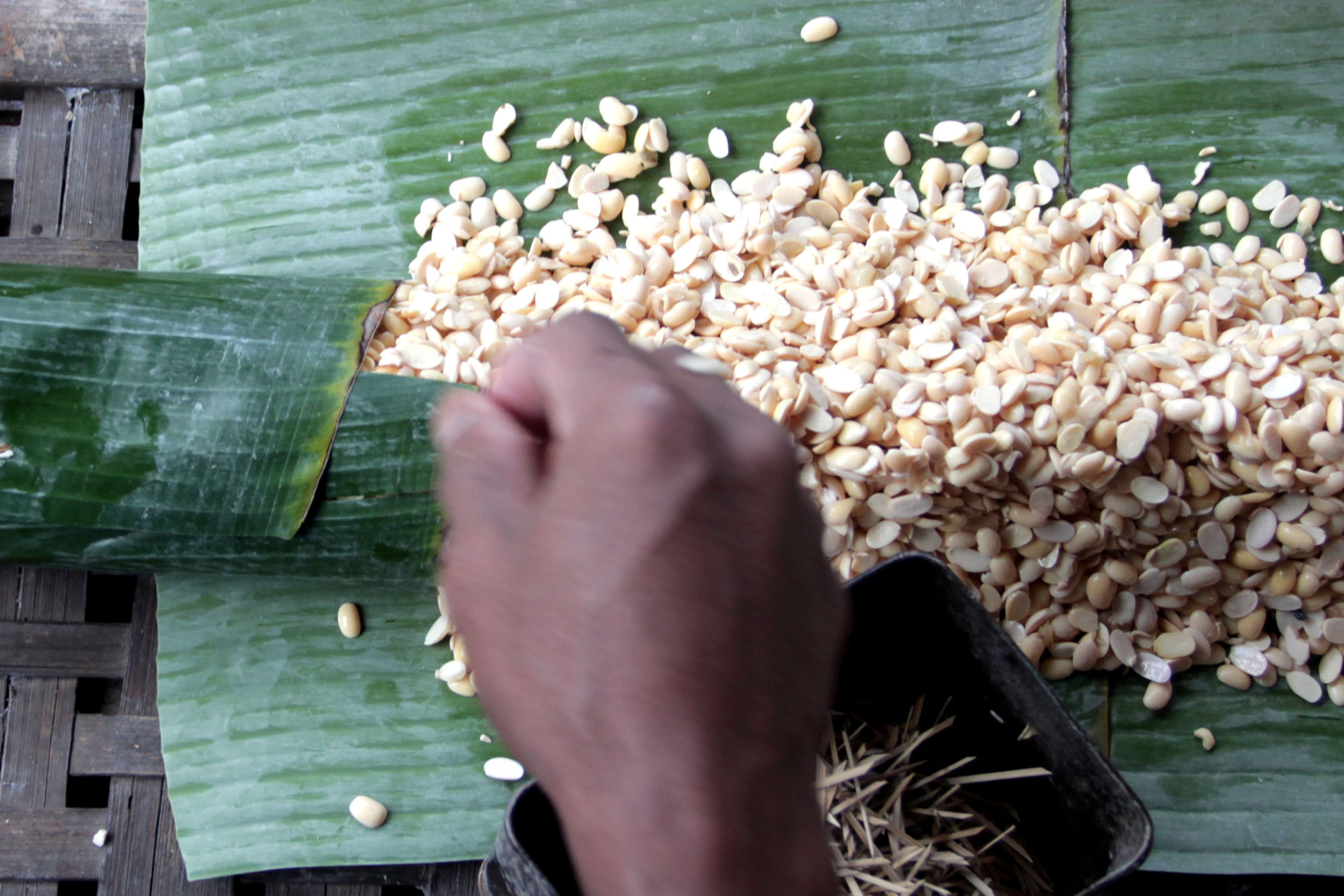 harga-kedelai-masih-mahal-ukuran-tempe-diperkecil_20210608_210509.jpg