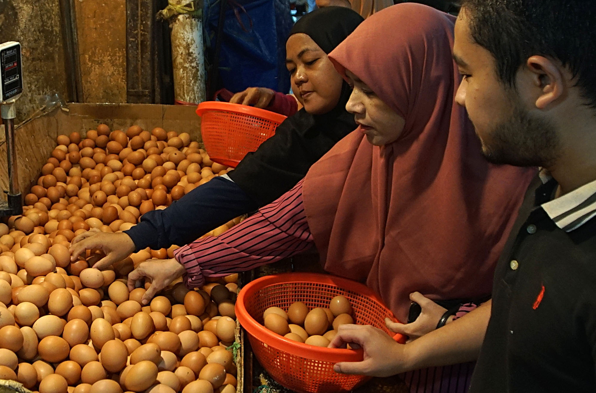 Daftar Harga Bahan Pangan Pulau Jawa per 13 Januari 2026: Telur Ayam Ras Stabil
